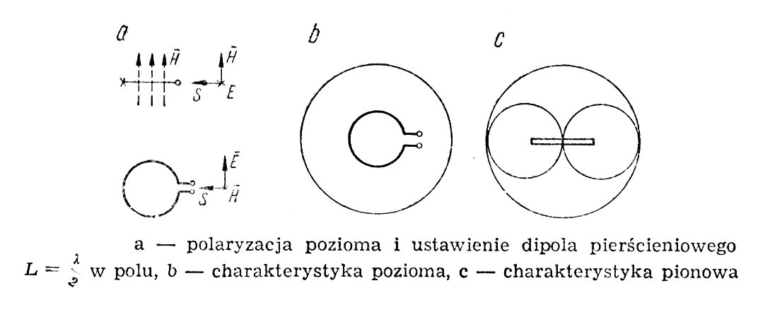 charakterystyka pozioma